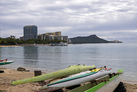 20260122_LANDSCAPE_0011