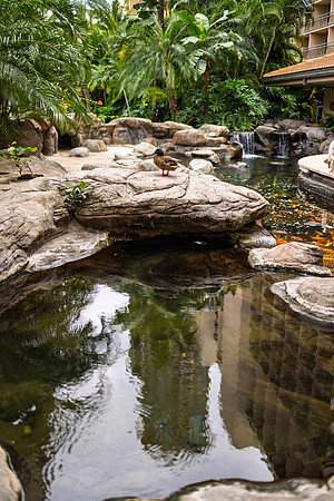 20260122_LANDSCAPE_0026