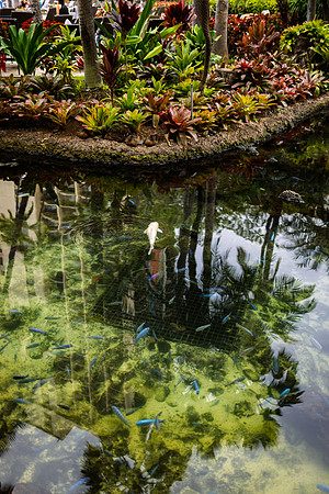 20260122_LANDSCAPE_0022