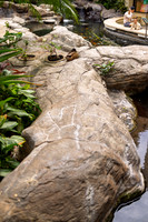 20260122_LANDSCAPE_0028