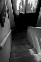 IMG_3319