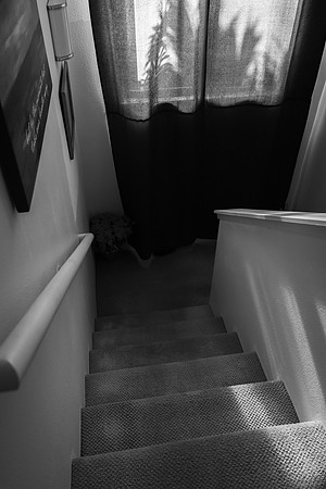IMG_3319