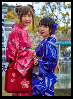 Tsurugaoka-Hachimangu Shrine