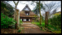 Sankeien Gardens Yokohama