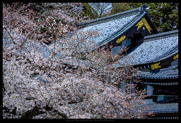 Hase Kannon Temple Kamakura