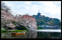 20190330 _JAPAN_0157-Edit