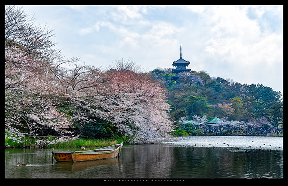 20190330 _JAPAN_0157-Edit