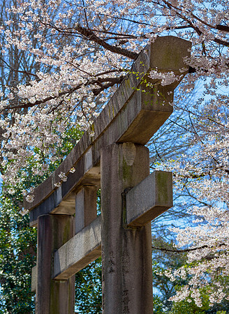 Ueno Park