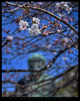 Kamakura Daibutsu