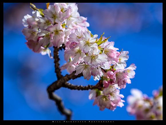 20190401 _JAPAN_0006-Edit