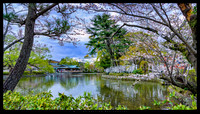 Tsurugaoka-Hachimangu Shrine