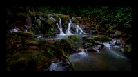 Hidden Solace